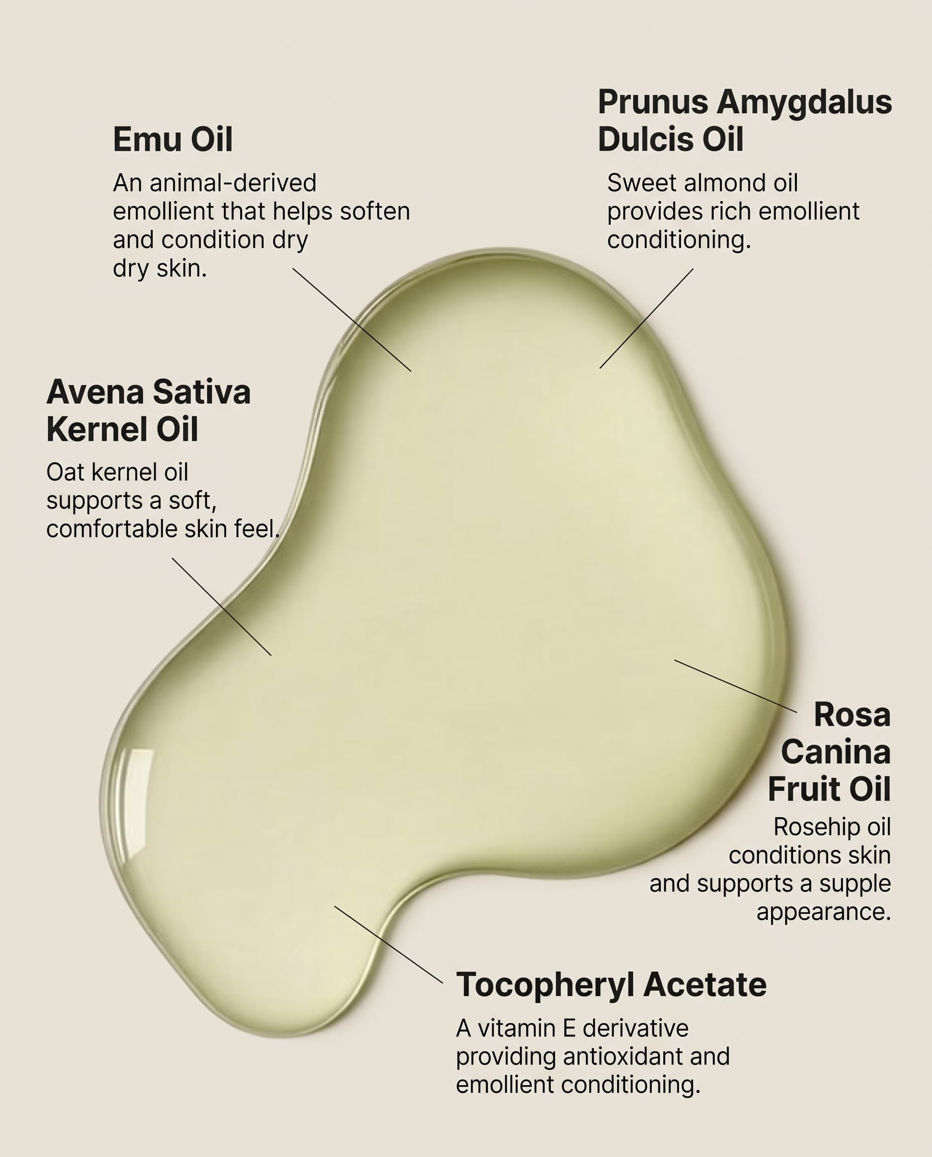Key ingredients